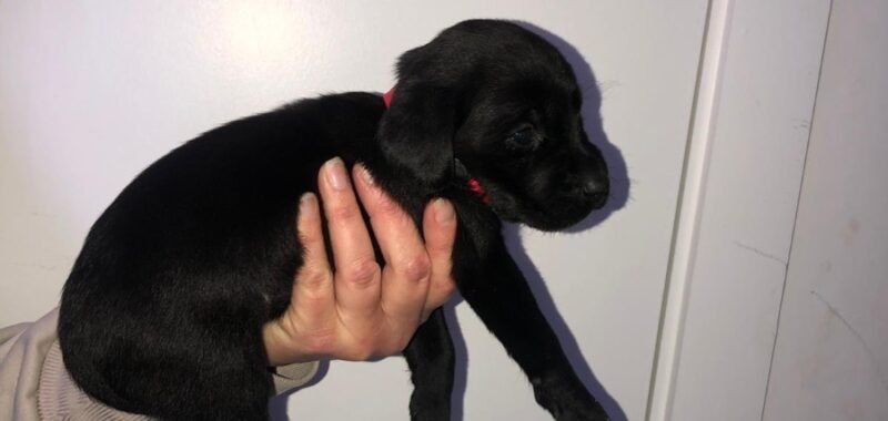 802ca4c6 e904 4db5 bba0 7371fe1c6dd6