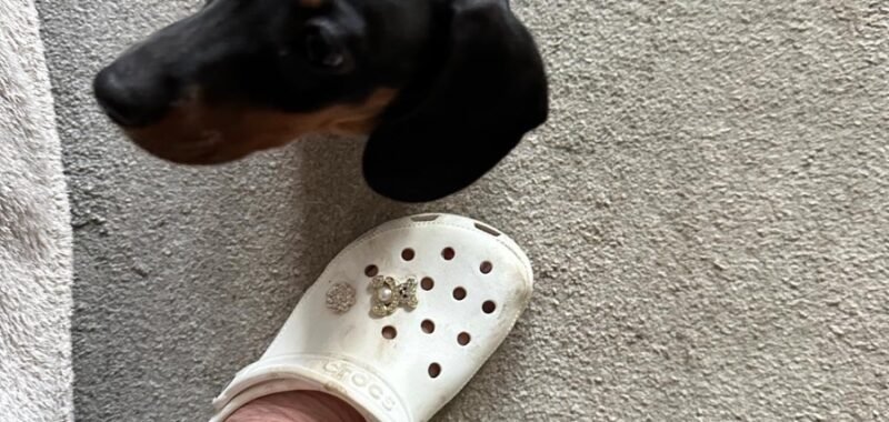 80bc4a60 6031 4398 afc2 fd54816ba01c