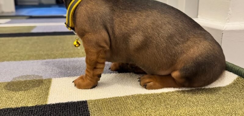 8c20a3f7 080c 401b 936d 0ac2dffcf2c0