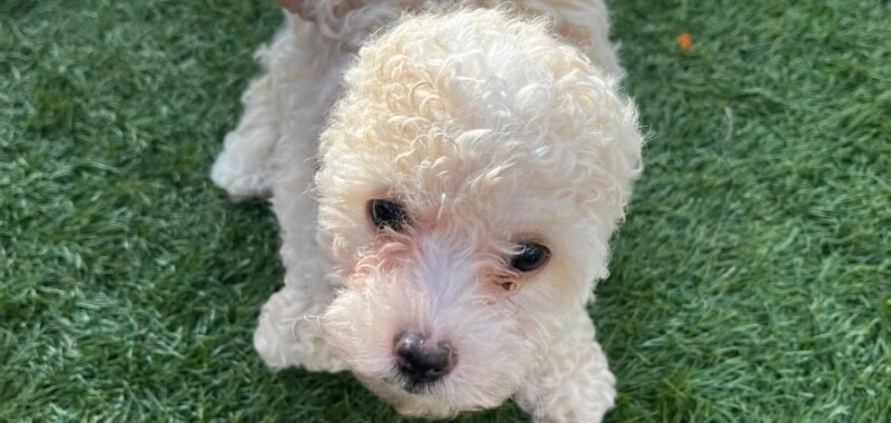 94cb8741 9f87 4ea6 9c1d 4061a19d09c5