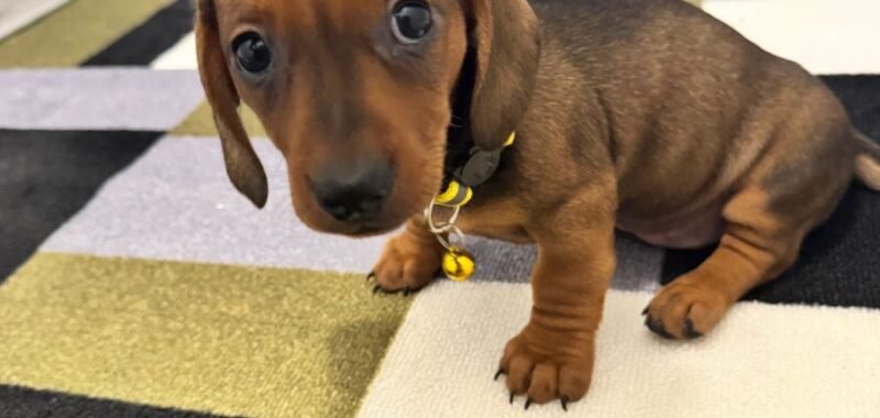 96667281 4e58 4114 ad6a b2af4d999765