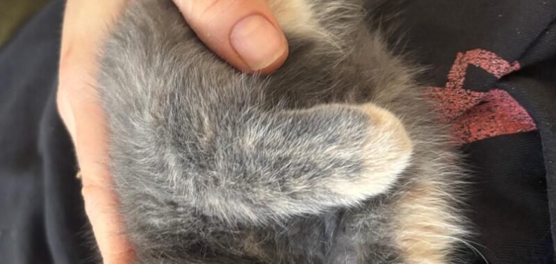 IMG 20251108 WA00022