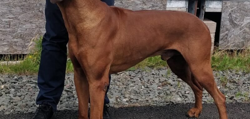 IMG 20230716 133018 01