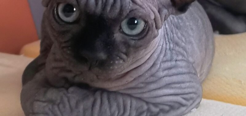 IMG 20251026 1256532