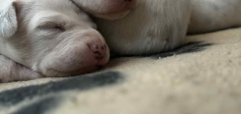 Messenger creation 1BD1F870 B163 4244 99B6 8E8FC897EB5A