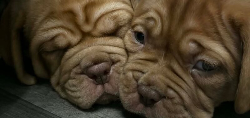 Messenger creation 7CE18E99 1F57 45F8 944A B59C5AE79BDA