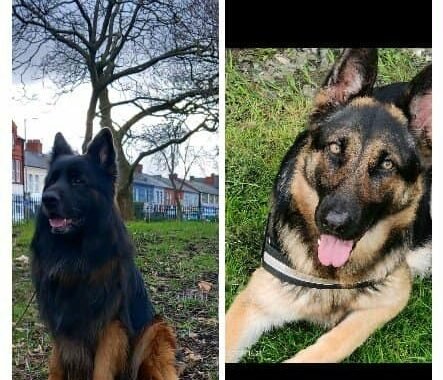 Messenger creation A5A4E4C9 B7C1 4254 B06C 29CC44AB39CF