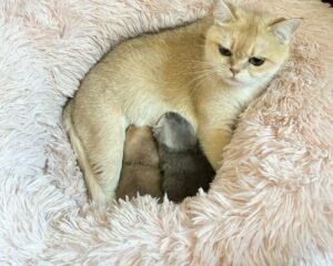 PHOTO 2025 10 18 15 57 47