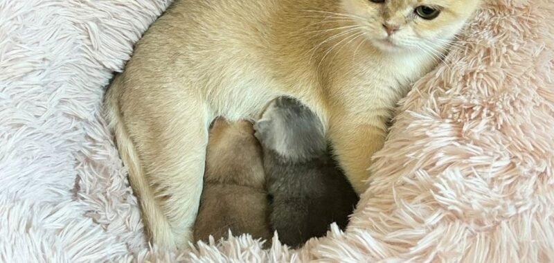 PHOTO 2025 10 18 15 57 47