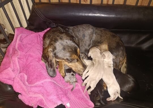 Screenshot 2025 10 19 18 58 45 02 99c04817c0de5652397fc8b56c3b3817