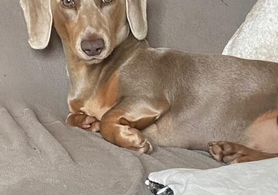 Screenshot 2025 10 19 19 09 39 24 6012fa4d4ddec268fc5c7112cbb265e7