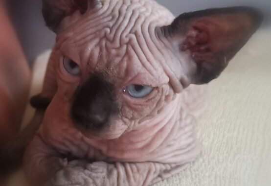 Screenshot 20251101 102446