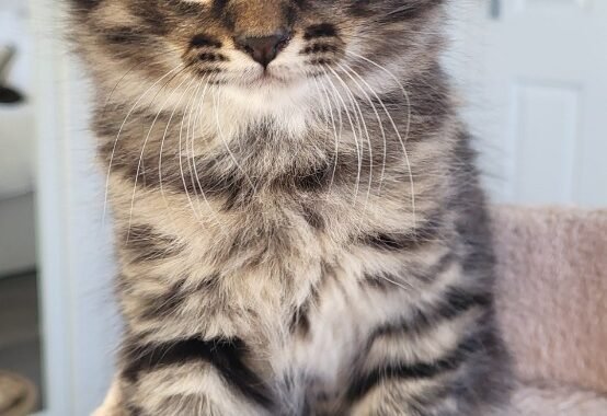 Screenshot 20251103 225636 Gallery