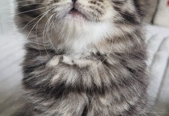 Screenshot 20251103 225708 Gallery