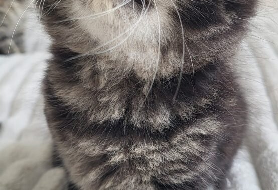 Screenshot 20251103 225726 Gallery