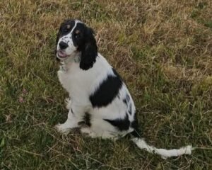 Screenshot 20251121 192054 Facebook