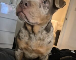 Screenshot 20251129 000705 Gallery