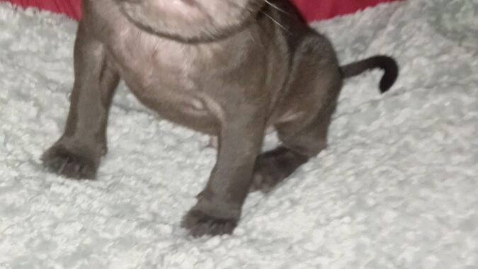 VideoCapture 20251122 130041