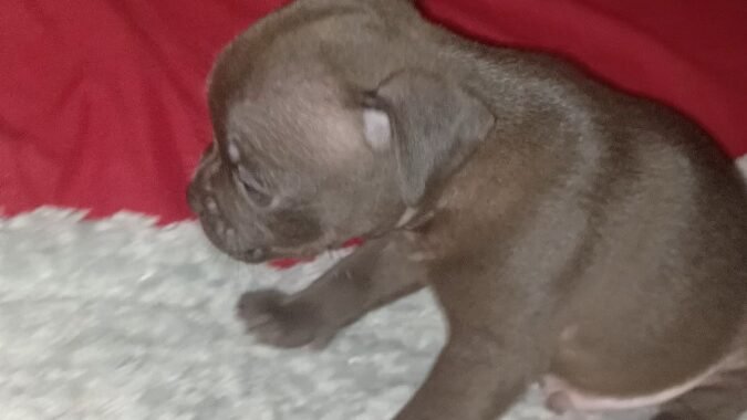 VideoCapture 20251122 130742