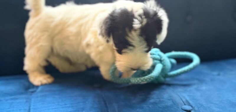 a0840ab6 ce53 4358 8de8 b459ec32cd84