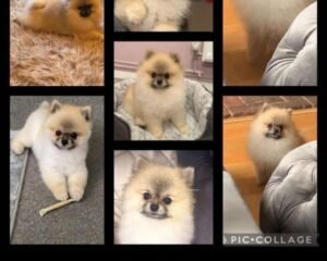 aae0c7ff 9997 4d71 974f fc75bb5eed56