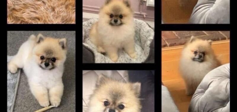 aae0c7ff 9997 4d71 974f fc75bb5eed56