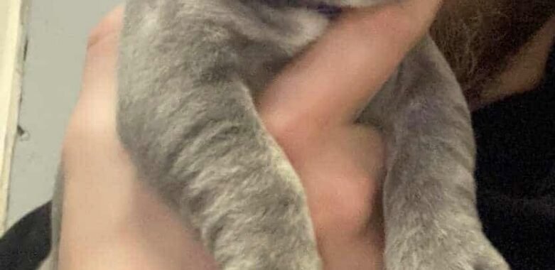 att. 3CDBHyNrS9kUlui s5lOUdbl0rUlDAzYPl7HAcUqkg