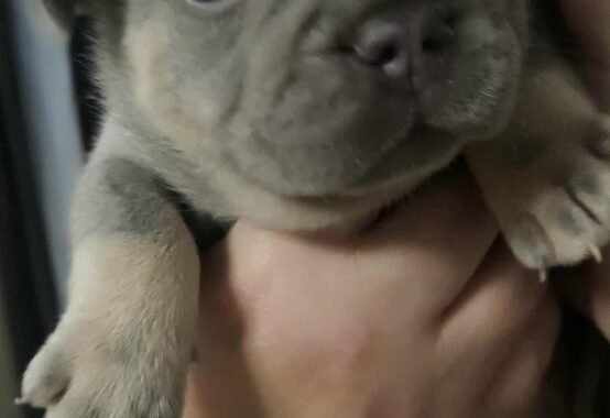 att. LE43qpLWoIEP4aGIFQMSgUGsE88QsHVHXArZ5knSvc