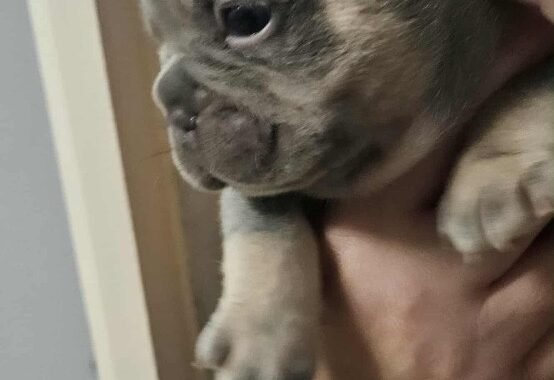 att.5JqScZyORzLLaj4yuibgzYbfSEl8sRYv7i444 Nsbhg