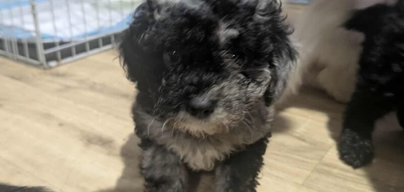 att.5uN0sd4iEK 22uyHAm0BGXxNlD6S7eMbJjUjlu5K2Uk