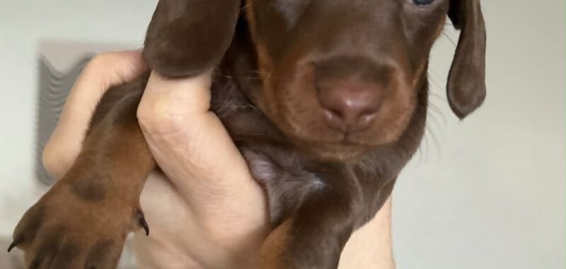 att.OsWpoBZlu8iK LG11IGGRFQj64lx sOIOgL03REGEYs