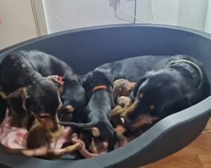 att.mTlnc0o4akMWfZMuVE TCoC he42QD9lopnxEM1FFsQ.png