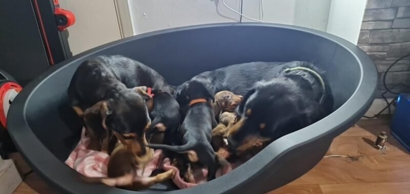 att.mTlnc0o4akMWfZMuVE TCoC he42QD9lopnxEM1FFsQ.png