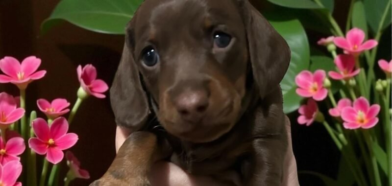 att.y4uIoledMyO8x8Aj5Djfr g9NbvsELXYtpgZQWgRC9Y