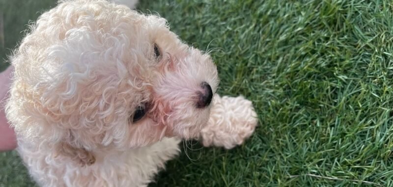 b4051774 8edf 4854 b3a4 500b48874b99