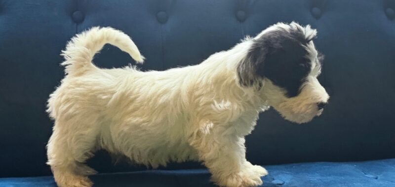 b6eab5aa 7b1b 44d3 ac5d c8426fdaf83a