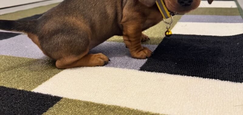 b97751d3 3807 4469 b39f 0b51bdf195bb