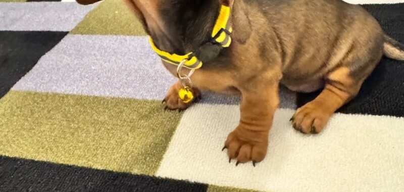 ba84e47b 7175 4537 a759 f944e6fd398f