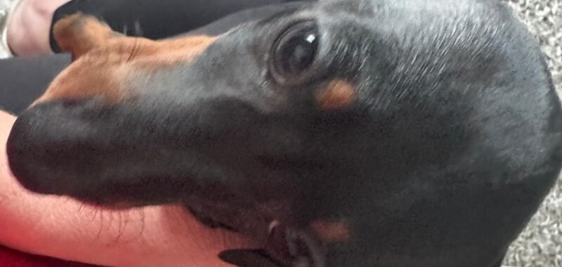 c0666c20 9515 4126 bf64 904806ba150b