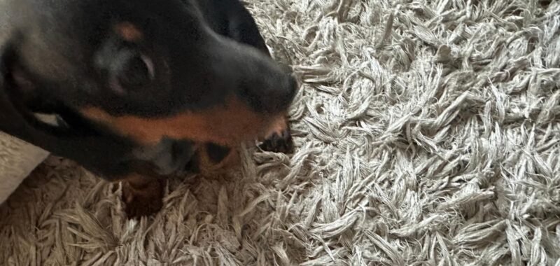 cdc690d0 0a3b 4bcc 9938 27315208f1aa