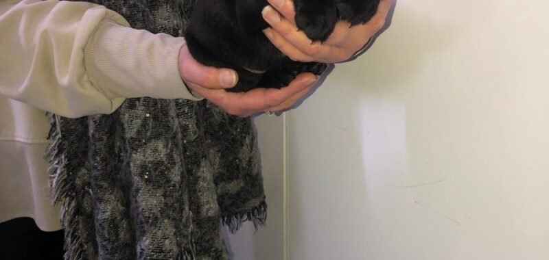 ceef217e e0cc 4316 9c83 56748a694bbc