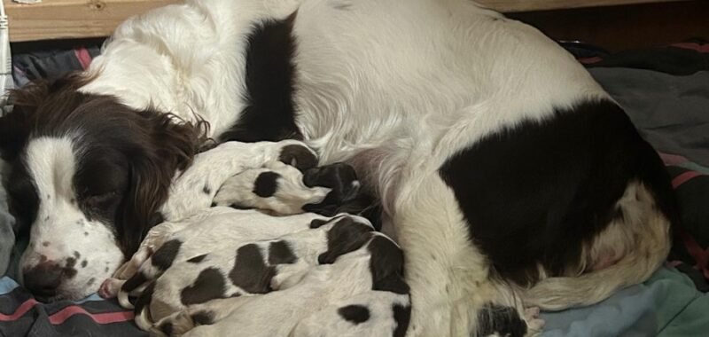 d4e7a496 abfb 4755 8c21 ded9bcc2d6bb