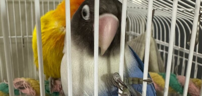 da735201 5413 4dab affe 57de5aa819e8