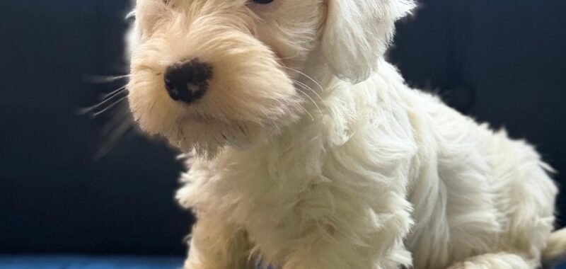 e21d8286 2333 4642 9c06 4a9a45c5c06f