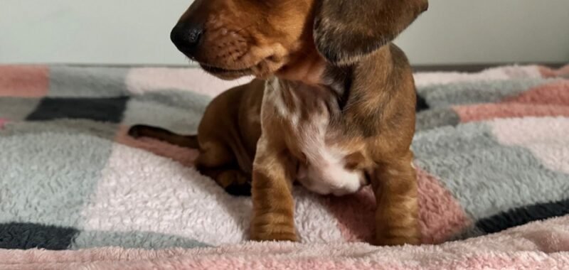 e4442431 cbac 4aca b8c8 9e0e103db9d5