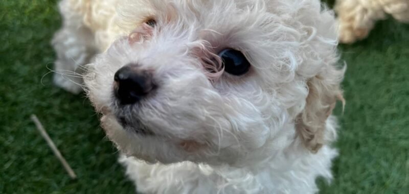 e4812112 2a26 41a2 8877 4c71f49d8bbd