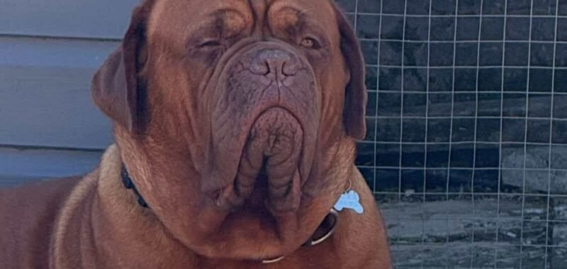 fbfb80de36304678b1ead6a6397b0bea