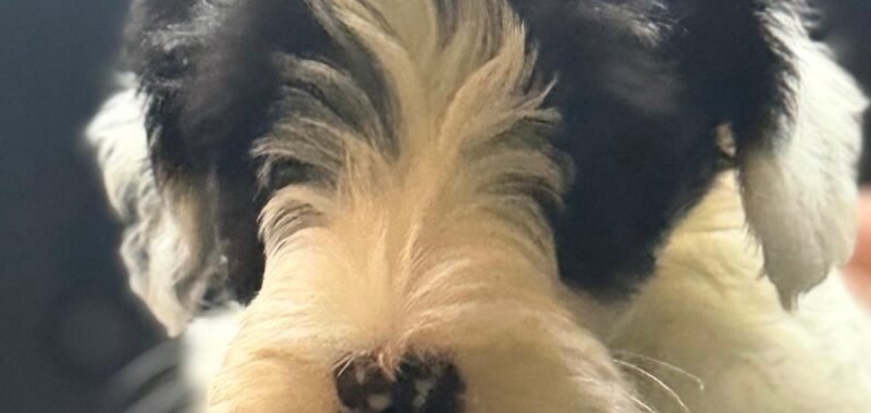 fcf6ada6 5696 4571 92b4 67686ec71104