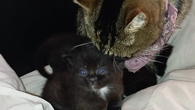 video 20251101 1209371