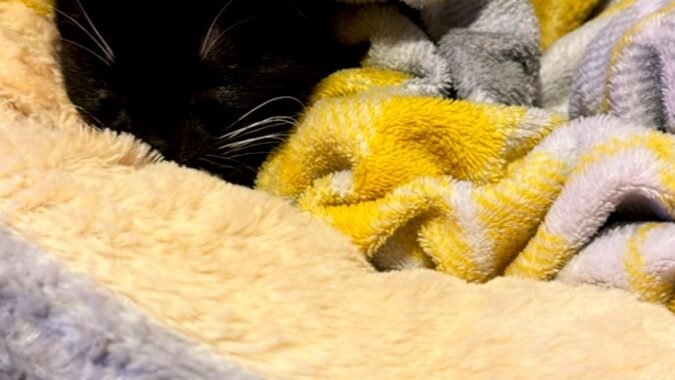 0B8BD1BF 638D 4144 B86B 41F64D953C39